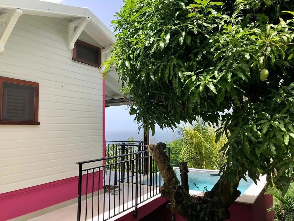 Magnifique Villa Bauhinia, Piscine Vue Mer Sainte-Luce 0*,
