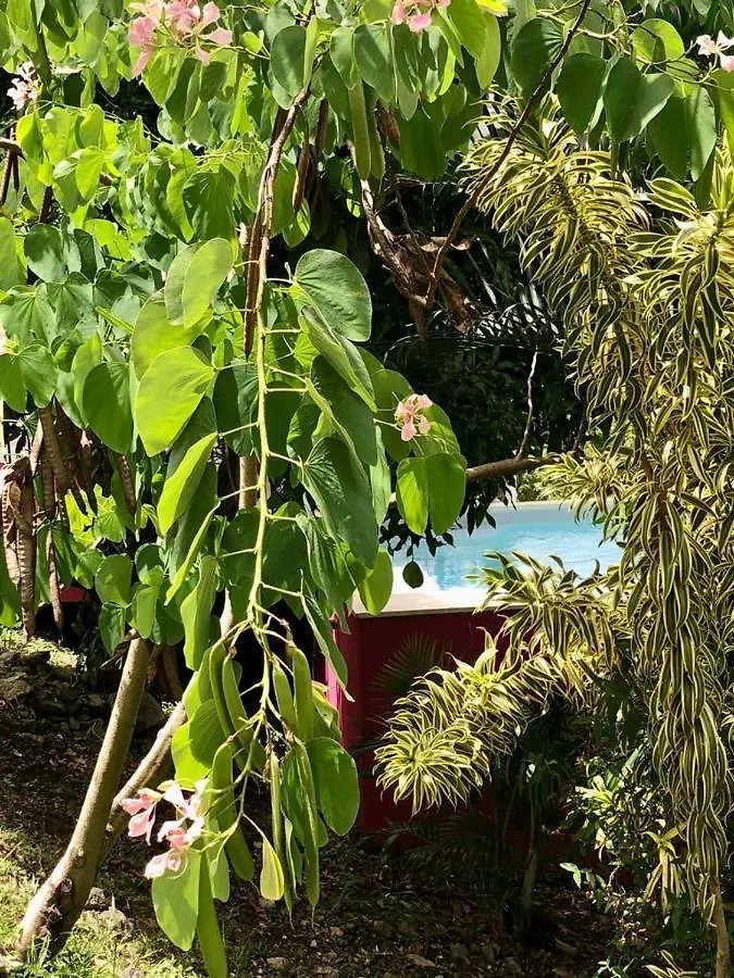 Holiday home Magnifique Villa Bauhinia, Piscine Vue Mer Sainte-Luce Martinique