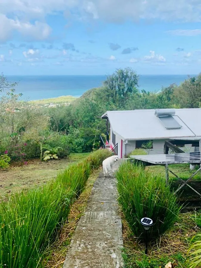 Magnifique Villa Bauhinia, Piscine Vue Mer Sainte-Luce Holiday home
