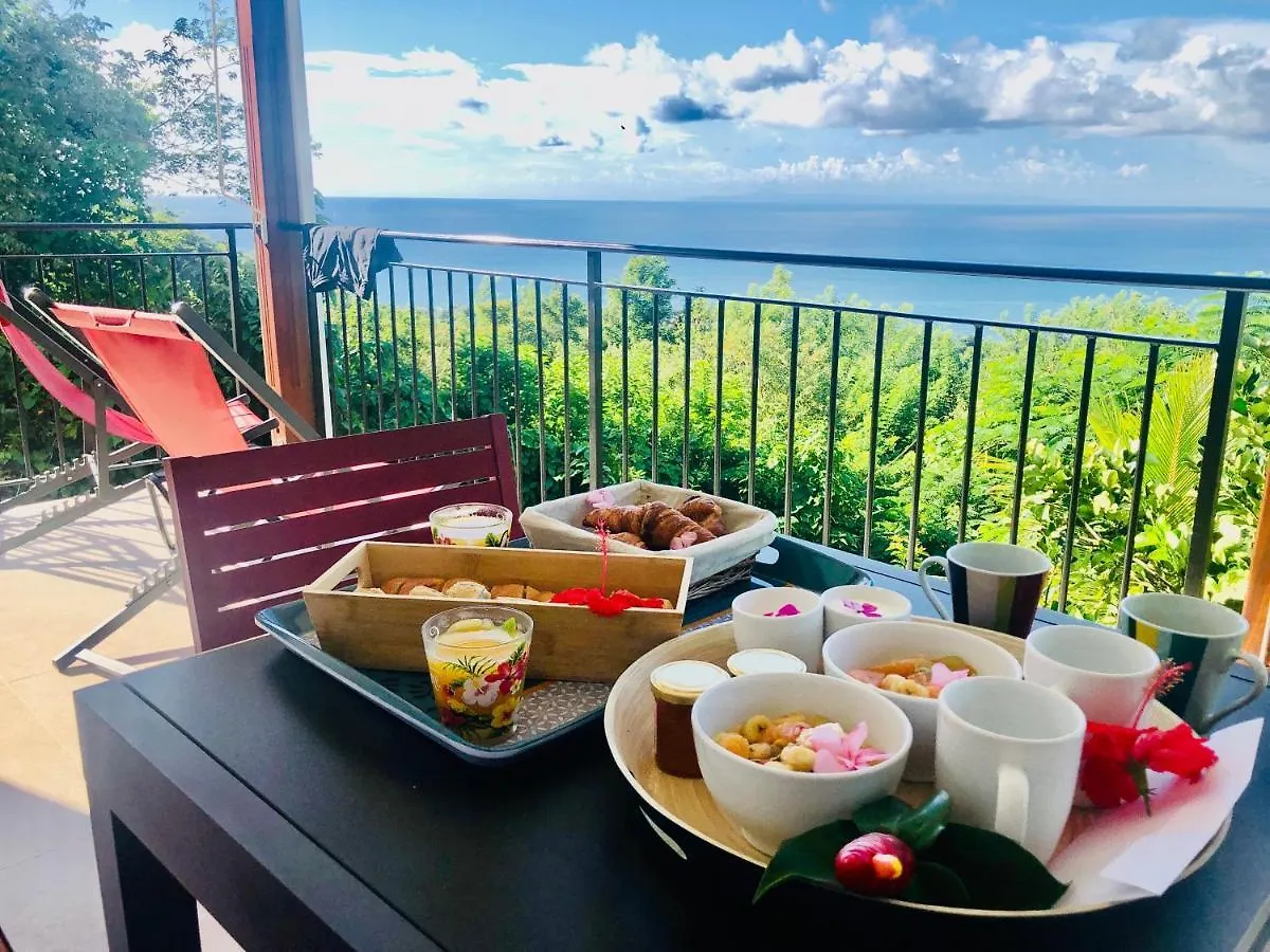 Holiday home Magnifique Villa Bauhinia, Piscine Vue Mer Sainte-Luce