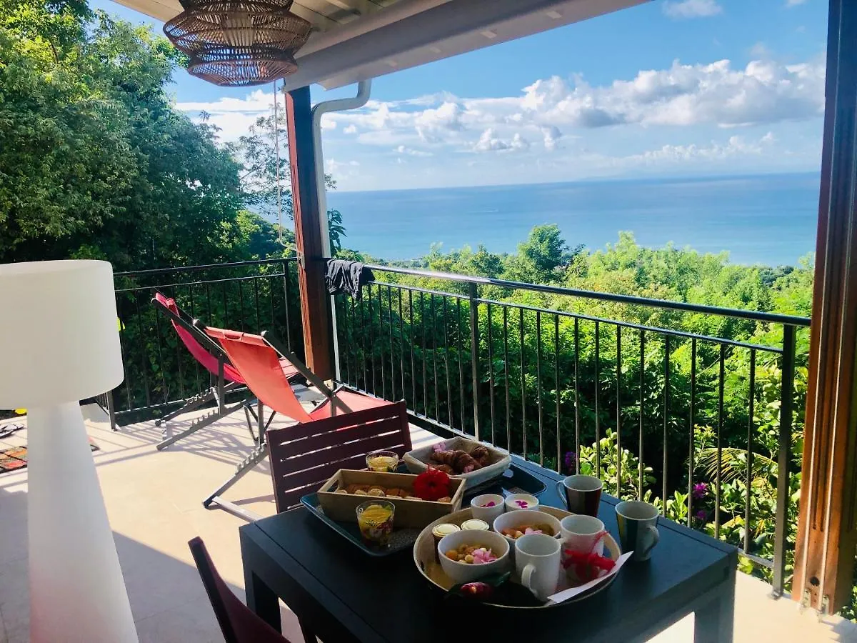 Magnifique Villa Bauhinia, Piscine Vue Mer Sainte-Luce Martinique