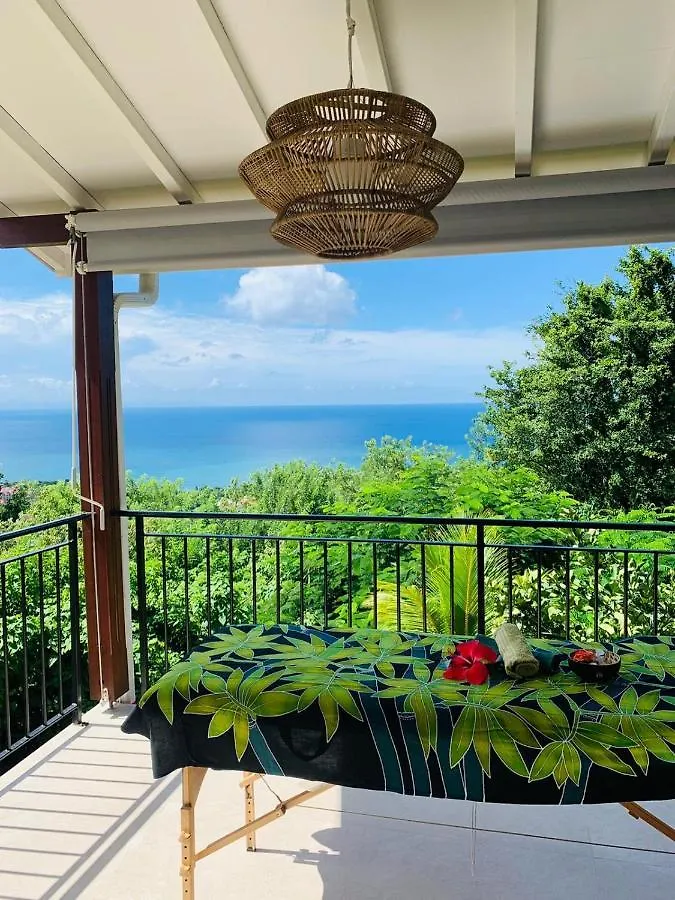 Holiday home Magnifique Villa Bauhinia, Piscine Vue Mer Sainte-Luce