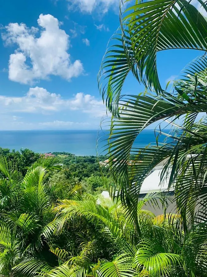 Magnifique Villa Bauhinia, Piscine Vue Mer Sainte-Luce 0*,