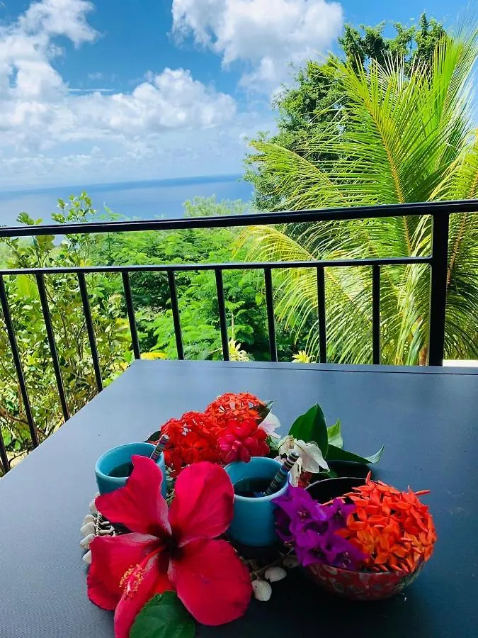 Magnifique Villa Bauhinia, Piscine Vue Mer Sainte-Luce
