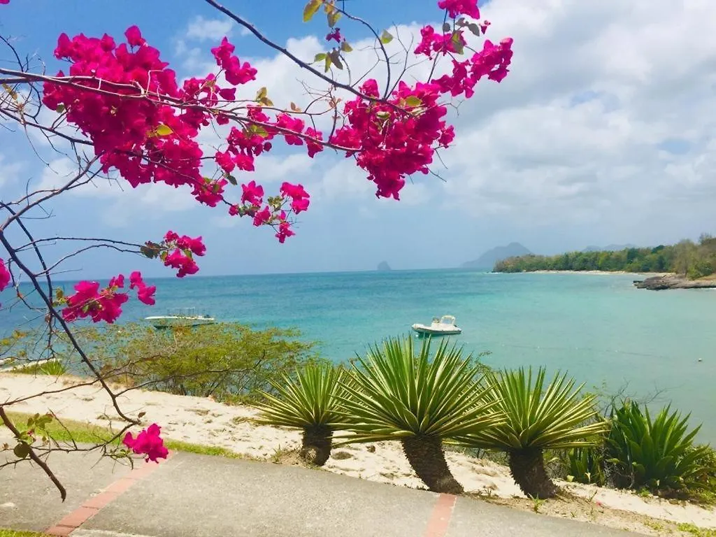 Magnifique Villa Bauhinia, Piscine Vue Mer Sainte-Luce